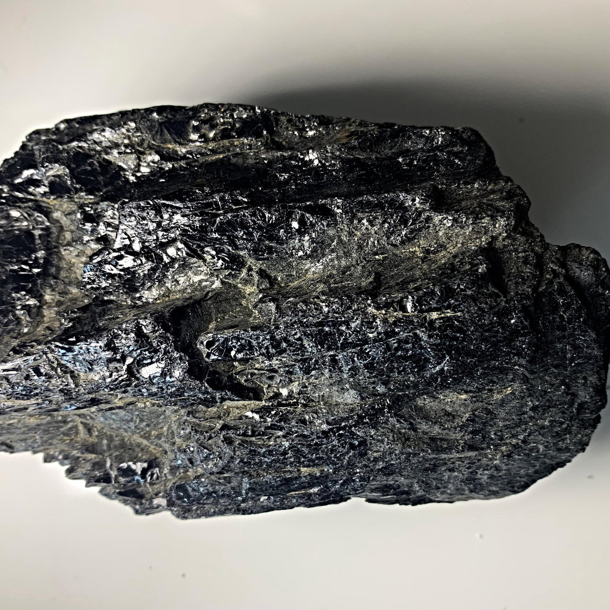 Extra large raw black tourmaline crystal from Brazil