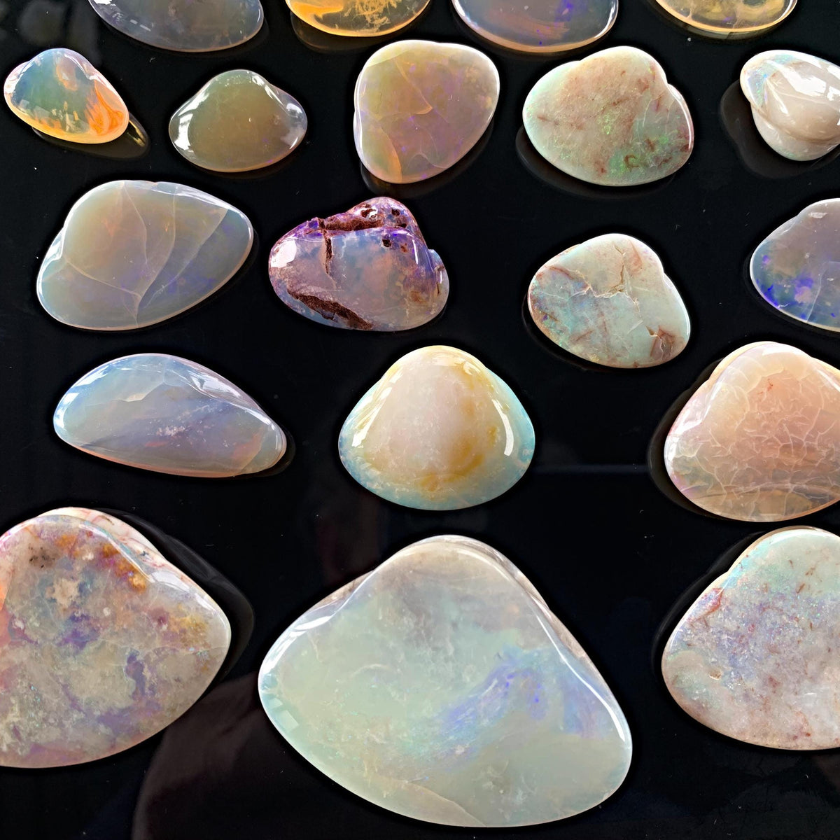 Rare Australian fossil opal with play of color