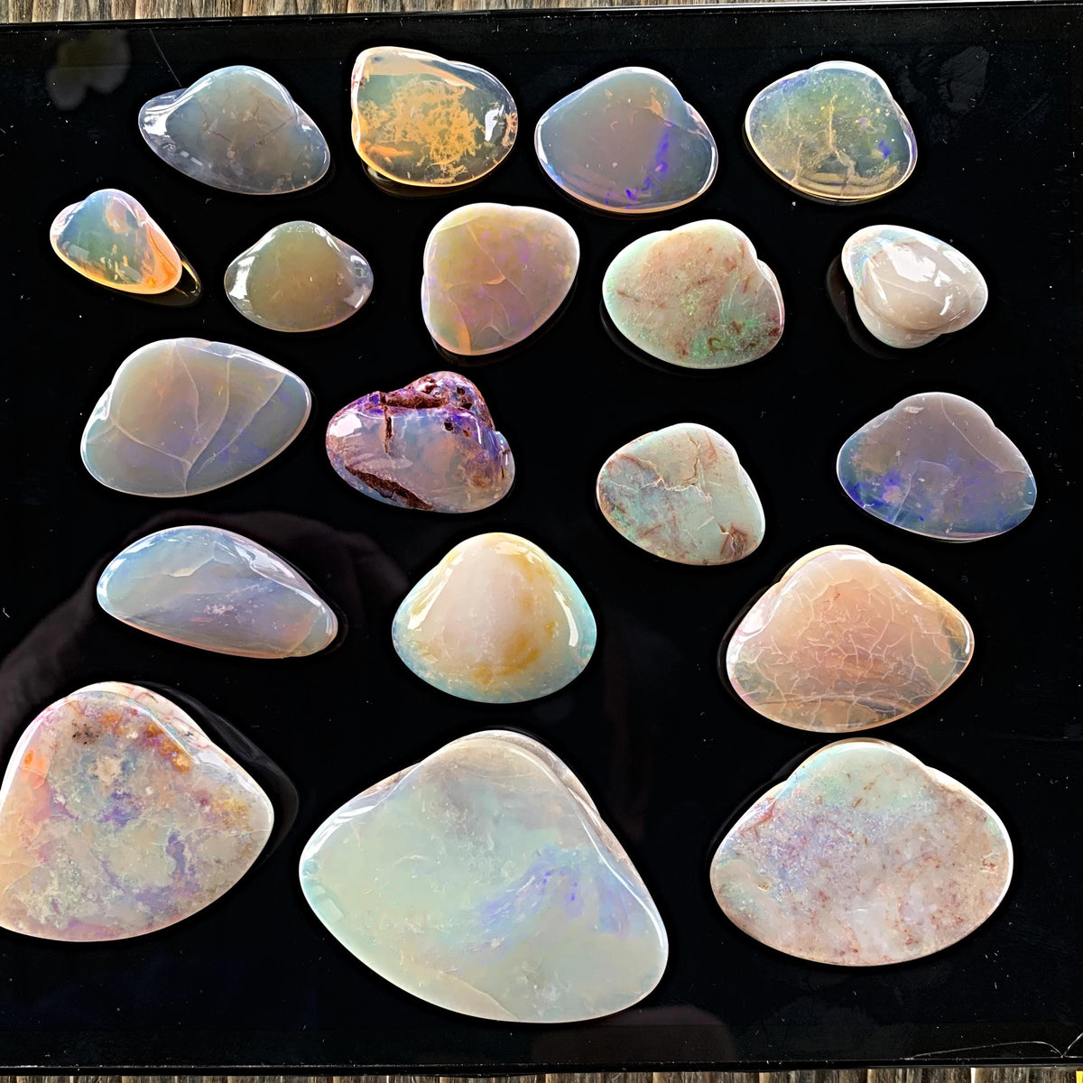 Ancient shell fossil turned opal crystal