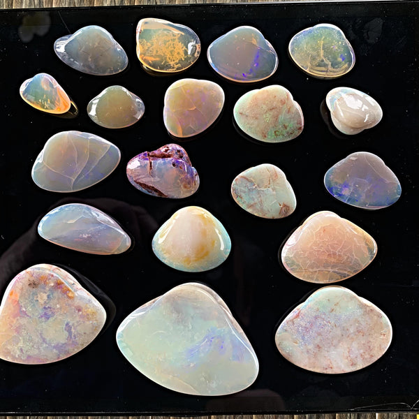 Ancient shell fossil turned opal crystal