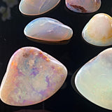 Collector’s opalized fossil shell gemstone
