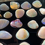 Rare Australian fossil opal with play of color