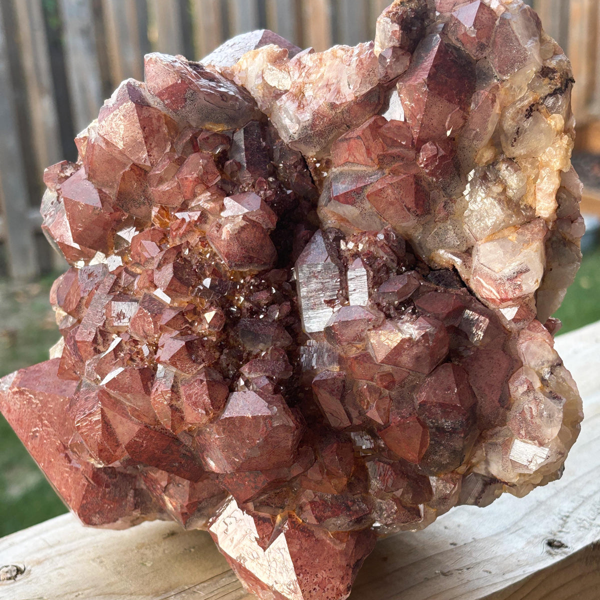 red quartz healing crystal collector piece
