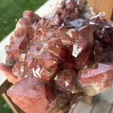 red quartz healing crystal collector piece