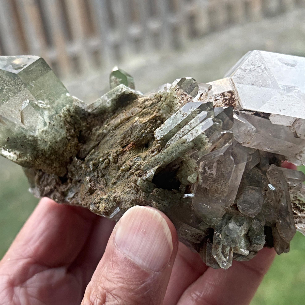 chlorite inclusion quartz