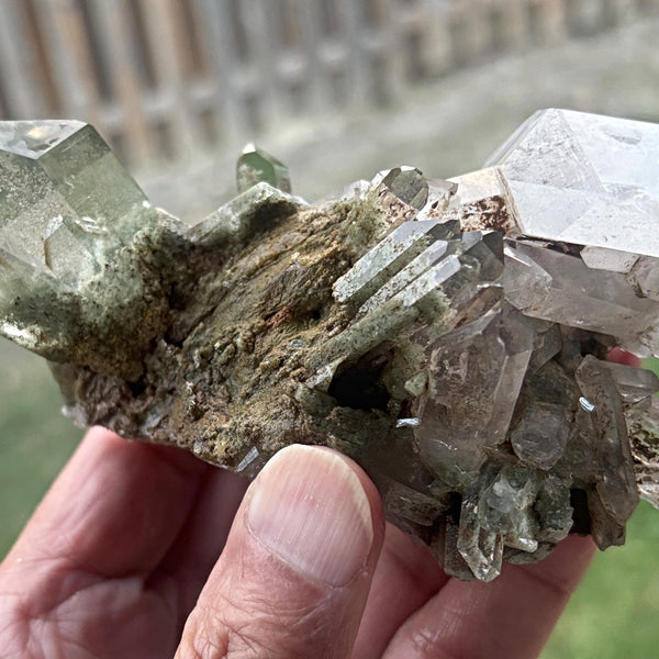 chlorite inclusion quartz