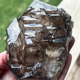 himalayan smoky quartz specimen