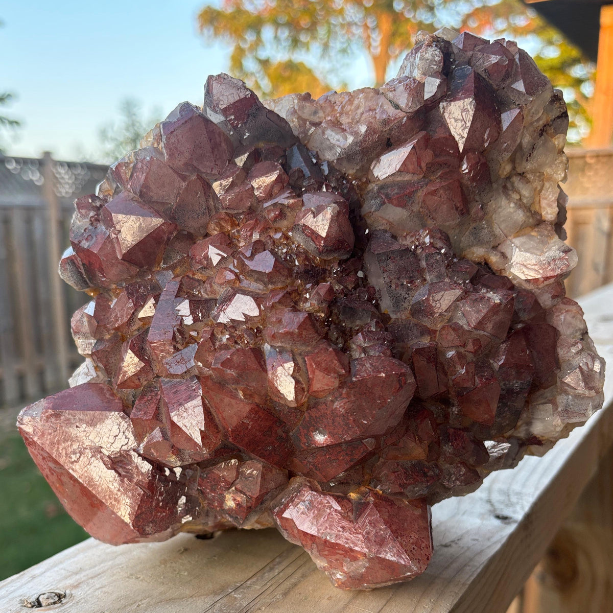 red quartz healing crystal collector piece