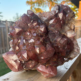 red quartz healing crystal collector piece