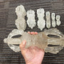 Himalayan clear quartz vajra 5 prong