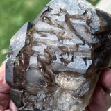 rare elestial quartz cluster