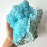 Rare Blue Aragonite Mineral Collector Piece