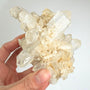 Clear Quartz Cluster