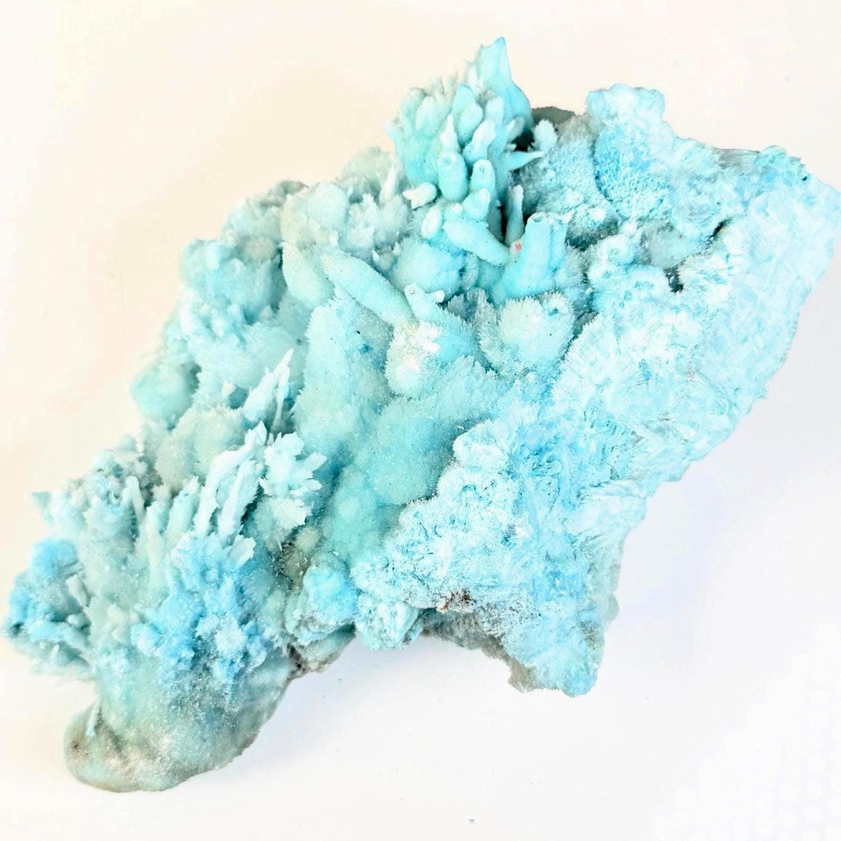11 inch rare blue aragonite display crystal