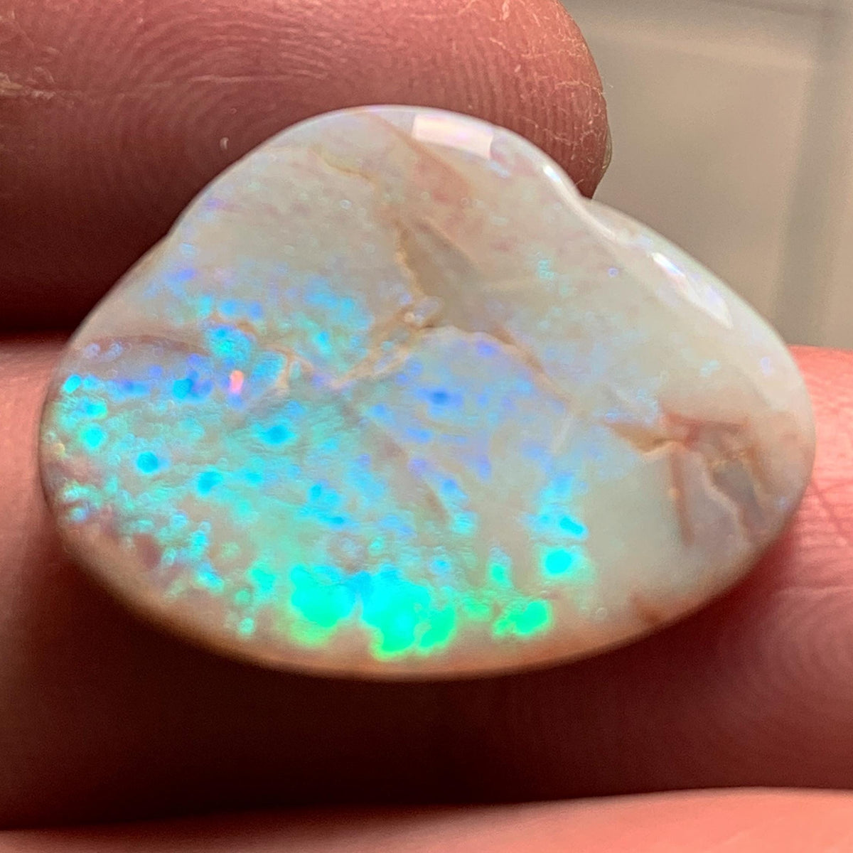 Australian opalized shell blue opal