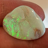 Australian opalized shell green opal
