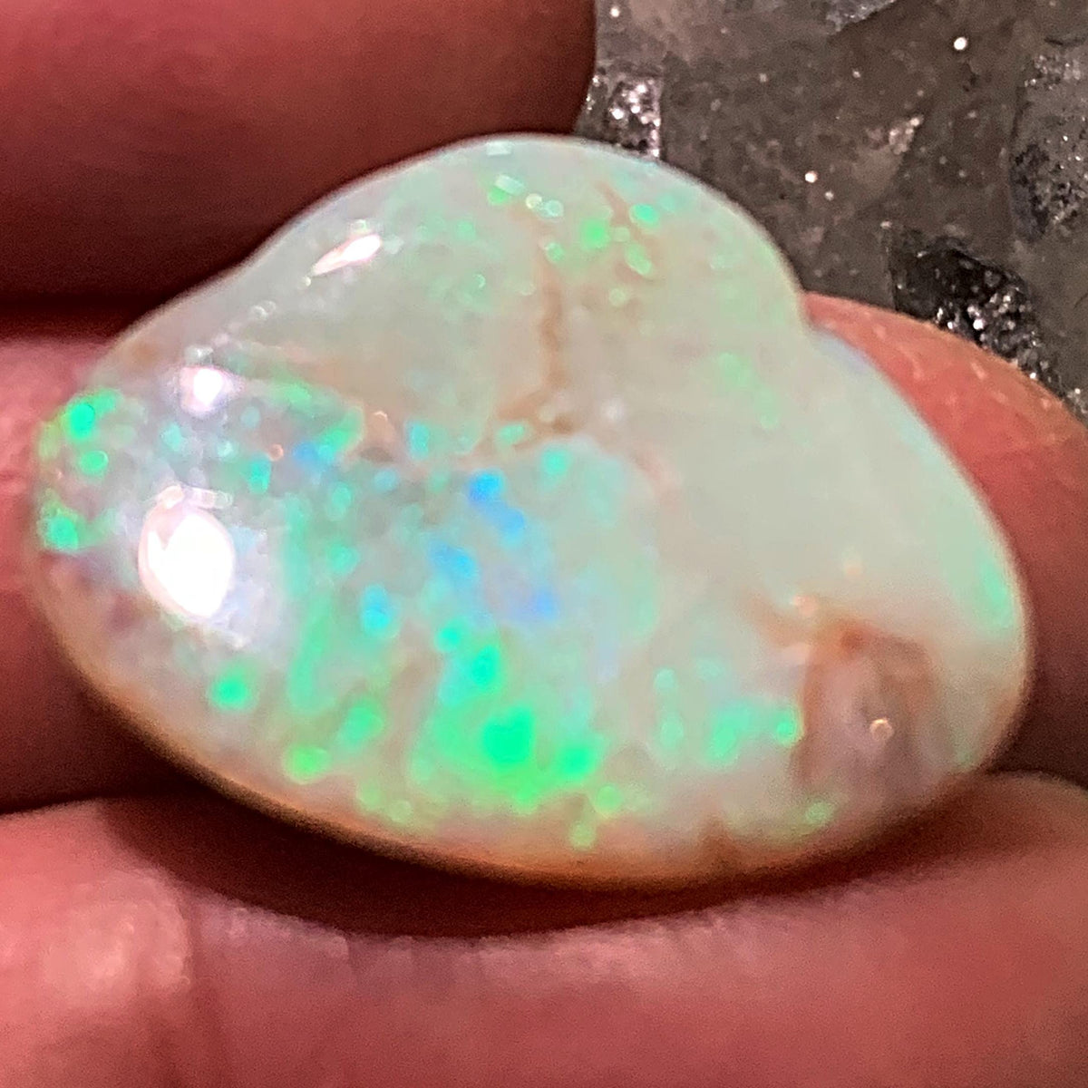Australian Opalized Shell | Green Coober Pedy Opal | Flashing Color Gem