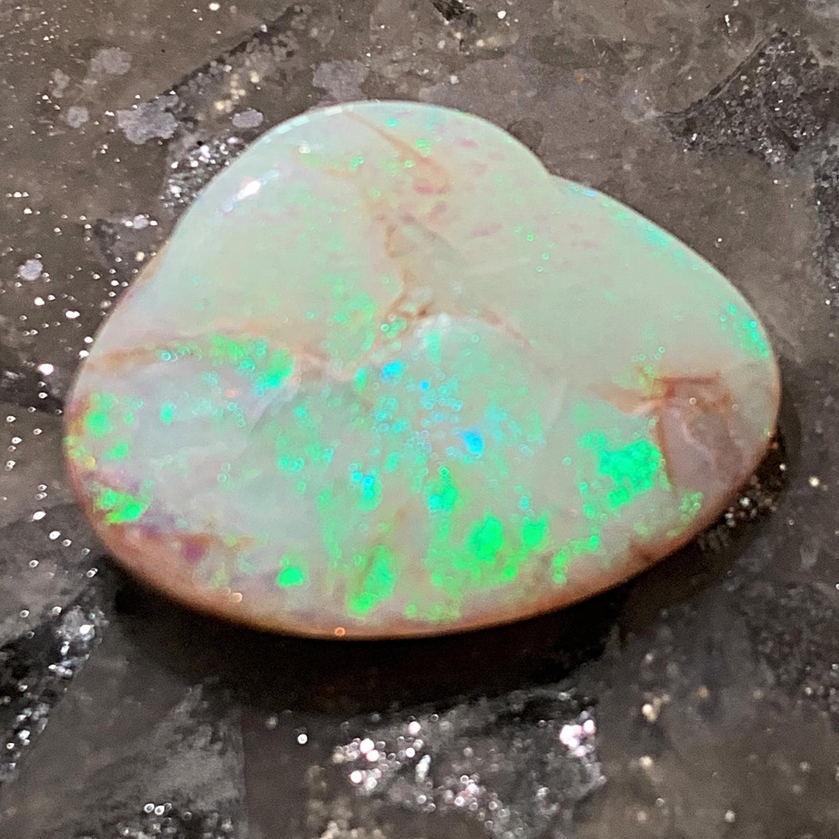 Coober Pedy opal fossil specimen