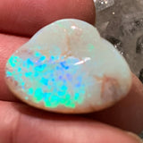 opalized fossil shell