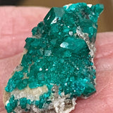 Namibia dioptase specimen