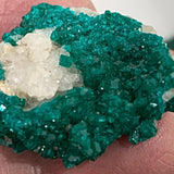 Dioptase Crystal Specimen – Tsumeb Mine Namibia