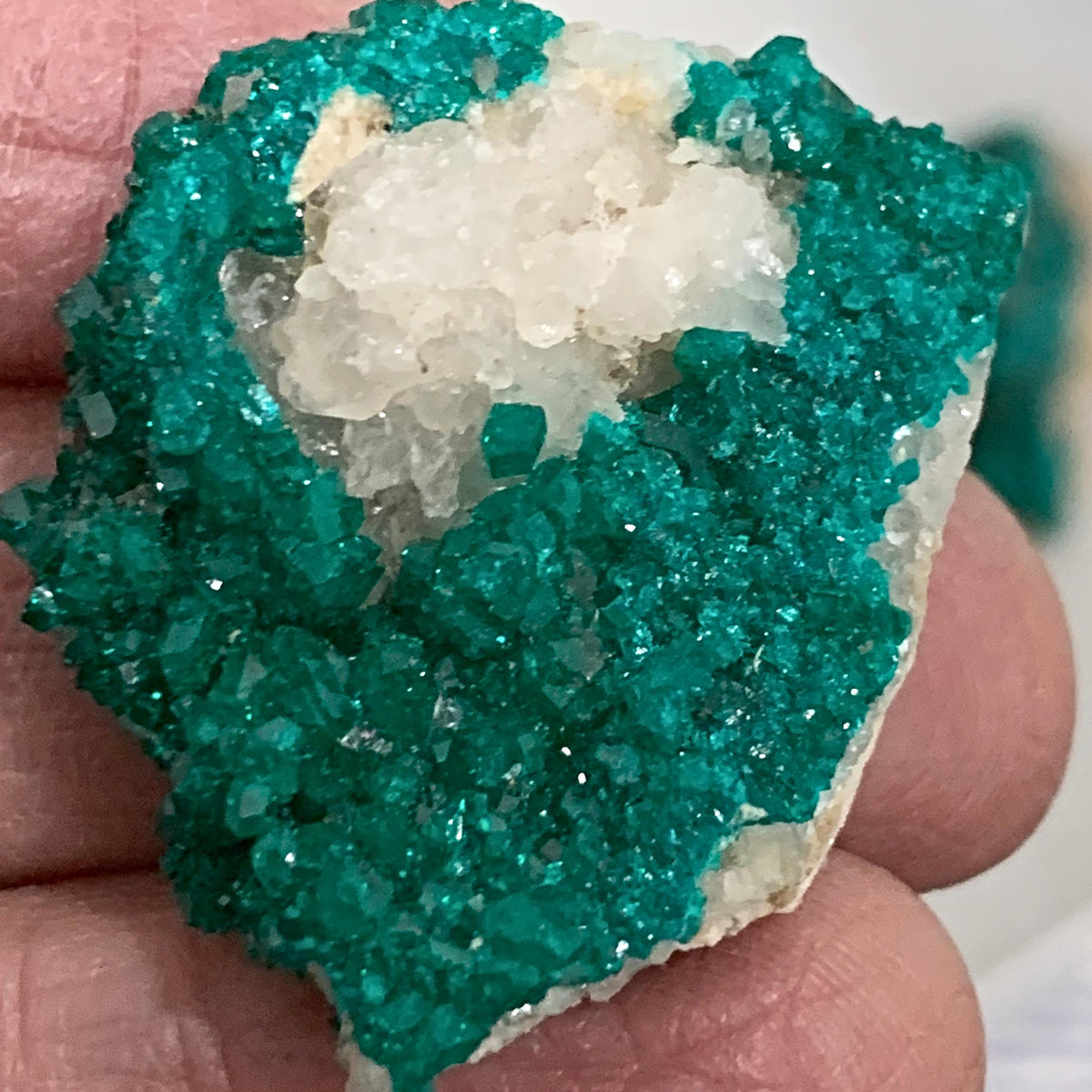 Dioptase Crystal Specimen – Tsumeb Mine Namibia