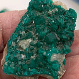 Dioptase Crystal Specimen – Tsumeb Mine Namibia