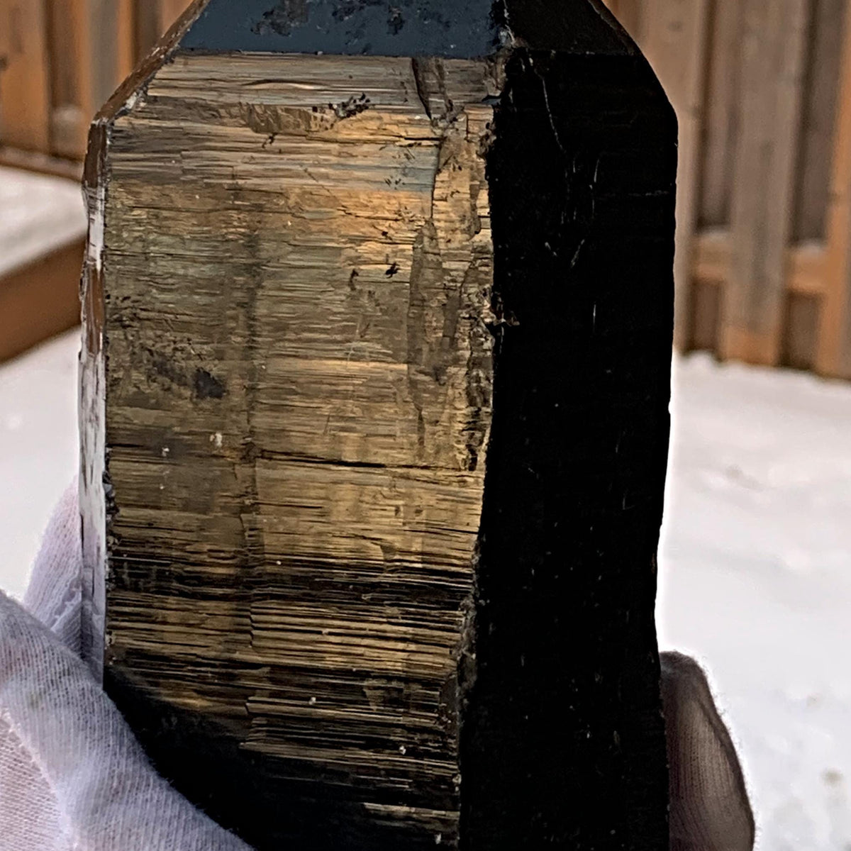 Lemurian Morion black quartz point
