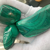 Ethically sourced raw malachite gemstone polished into a smooth organic freeform shape.