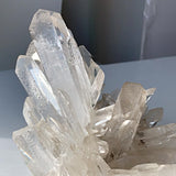 Clear Quartz Statement Cluster – Extra Large Collector Specimen Crystal Décor