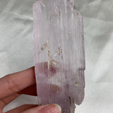 Tall pink kunzite crystal collector specimen