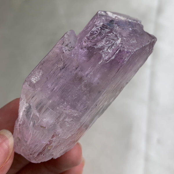 Partially Terminated Kunzite Close View