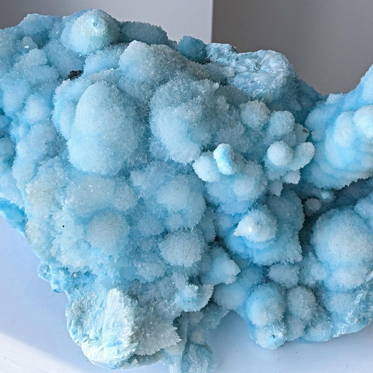 luxury mineral specimen blue aragonite organic formation