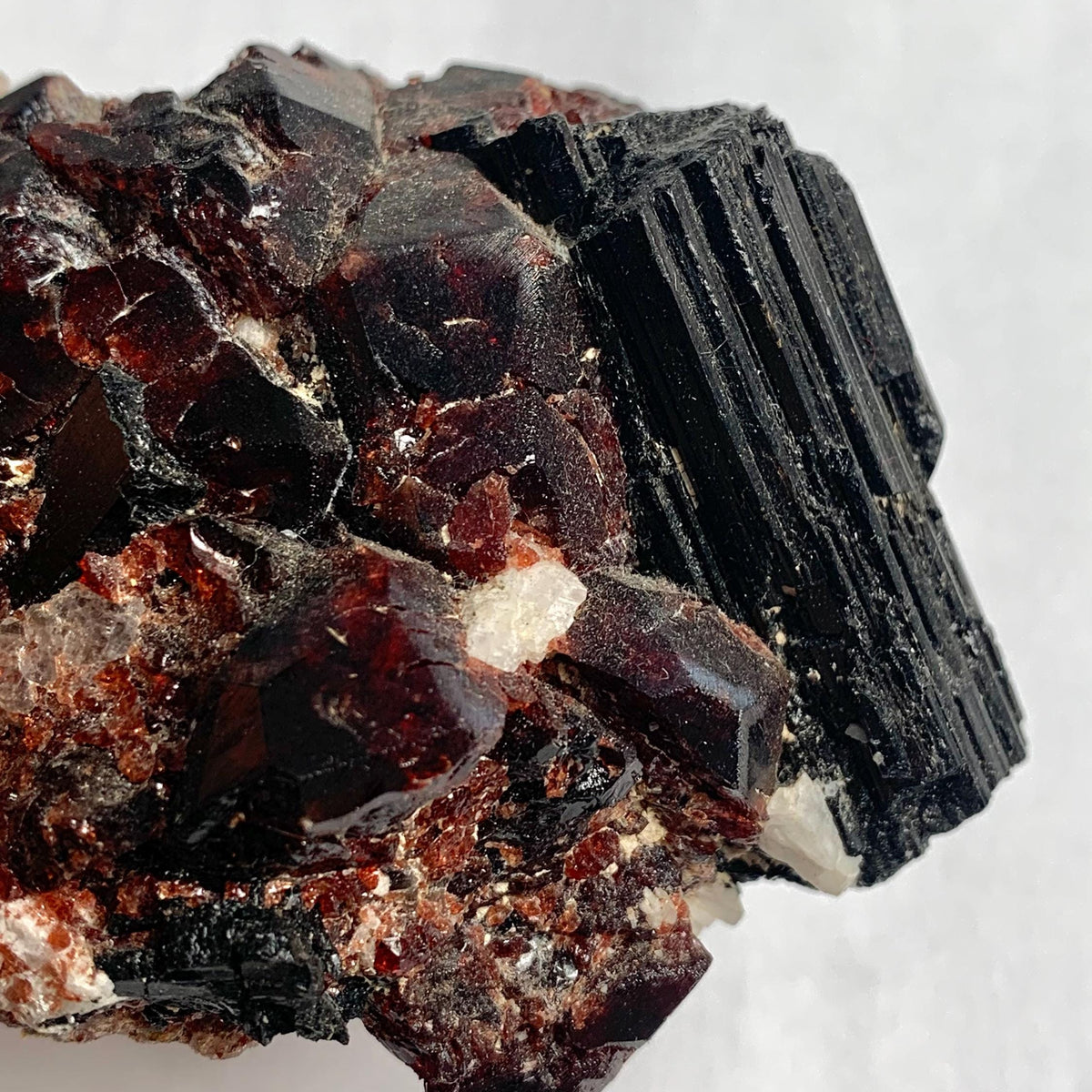 Deep red garnet crystals with black tourmaline cluster