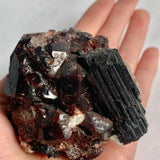 Large garnet crystals with black tourmaline on matrix Pakistan specimen