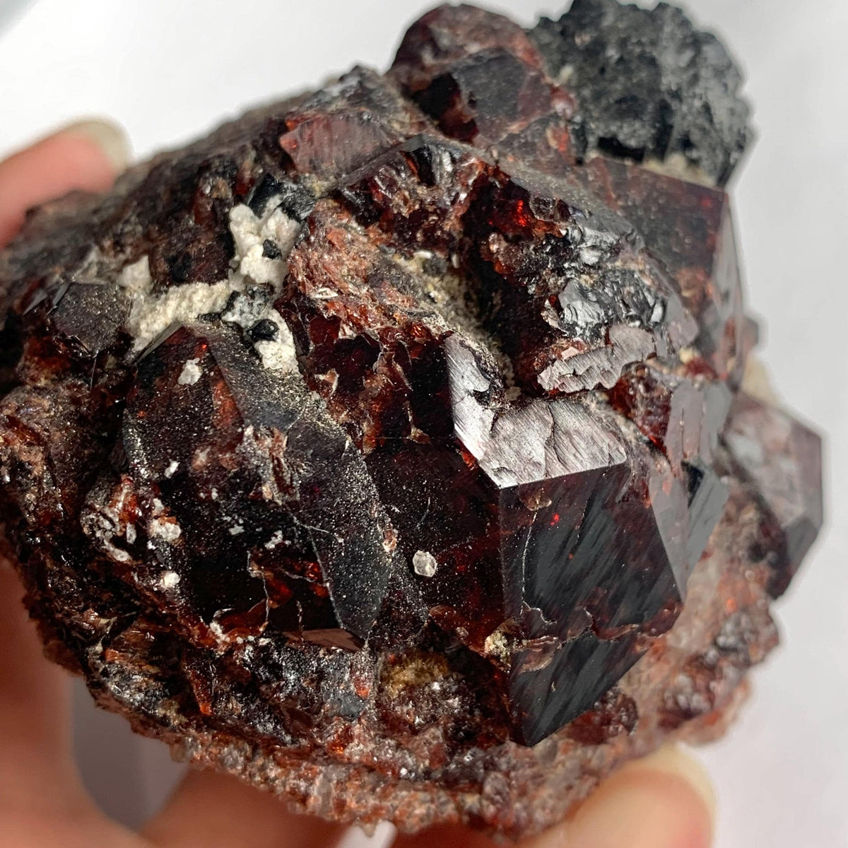 Natural garnet and tourmaline crystal contrast close-up