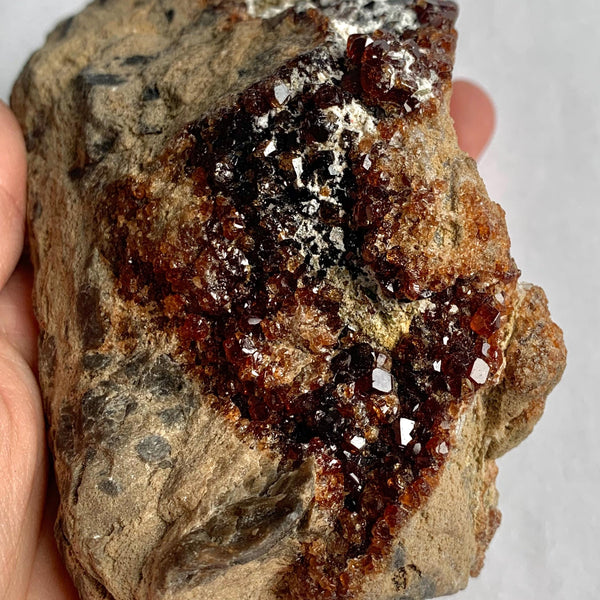 Collector garnet specimen for mineral collection