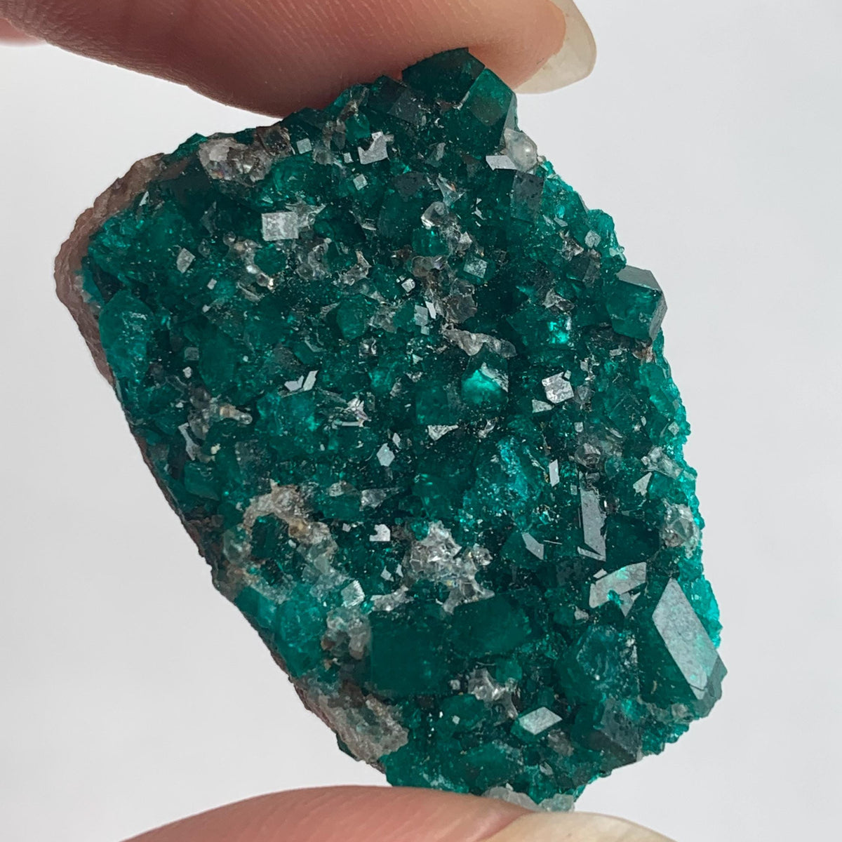 dioptase crystal cluster on matrix tsumeb mine namibia