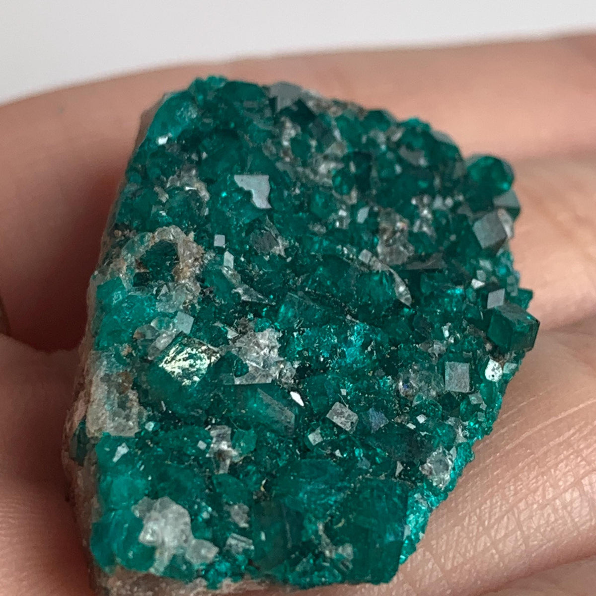 tsumeb mine dioptase mineral specimen display piece
