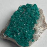 tsumeb mine dioptase crystals densely covering matrix