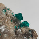 dioptase crystals with strong crystal form tsumeb