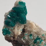 collector grade dioptase mineral namibia locality