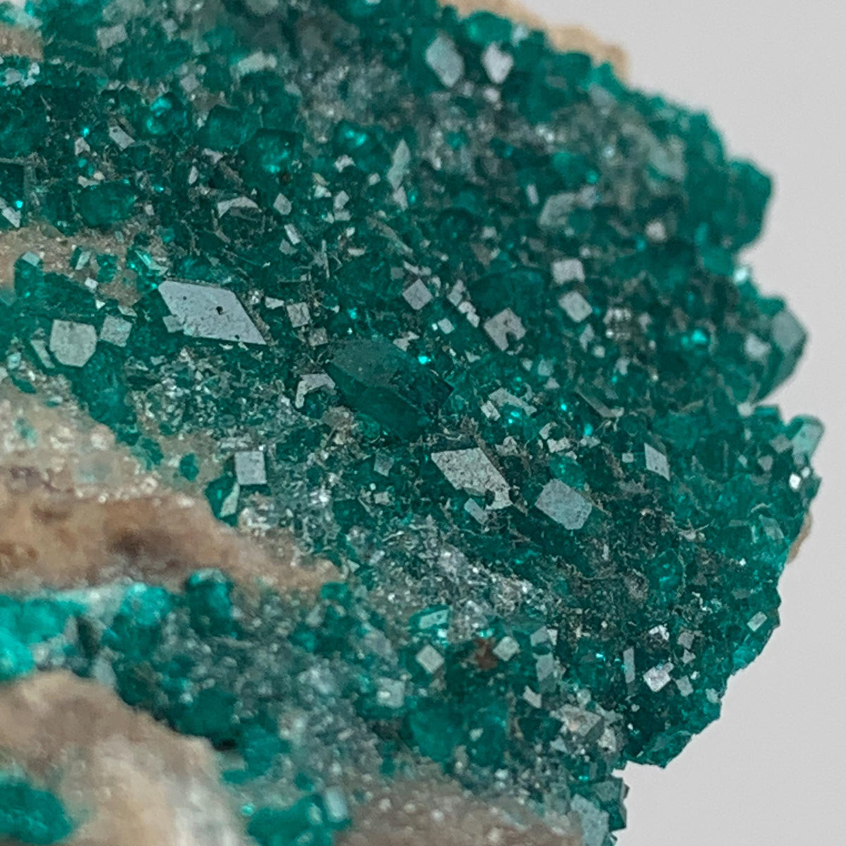 emerald green dioptase specimen crystals both sides