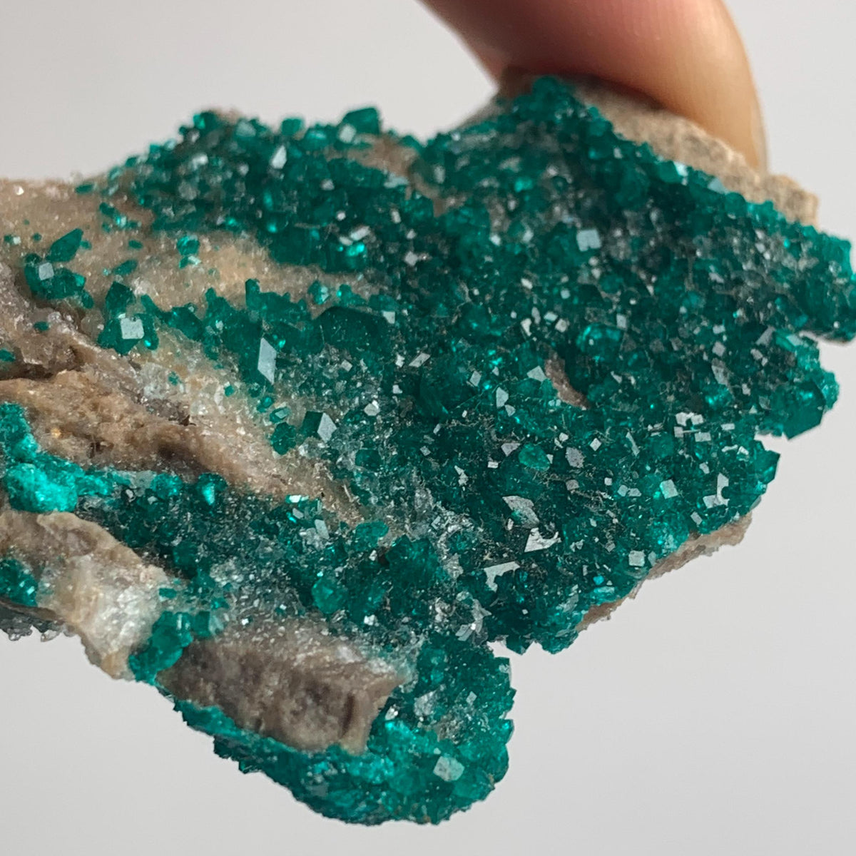 natural double sided dioptase crystal specimen