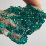 natural double sided dioptase crystal specimen