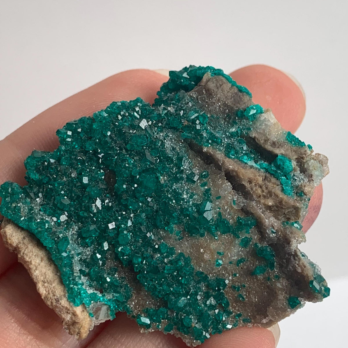 sparkling emerald dioptase crystals on rock