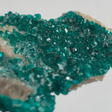 close up of emerald green dioptase specimen