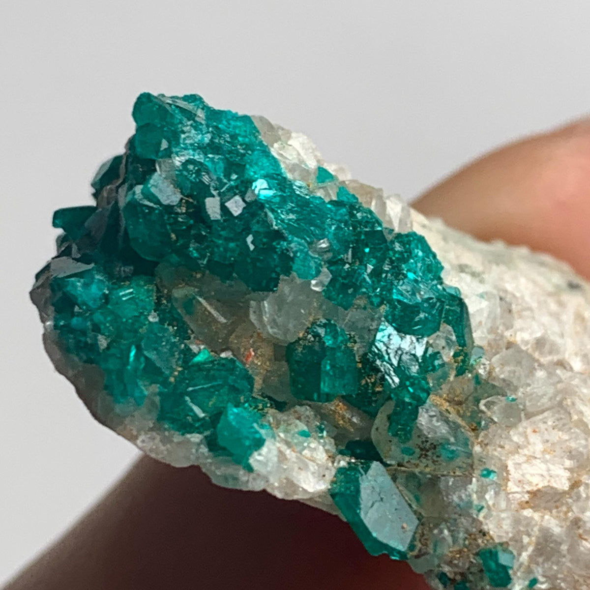 tsumeb mine dioptase crystal matrix collector piece