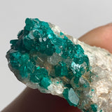 tsumeb mine dioptase crystal matrix collector piece