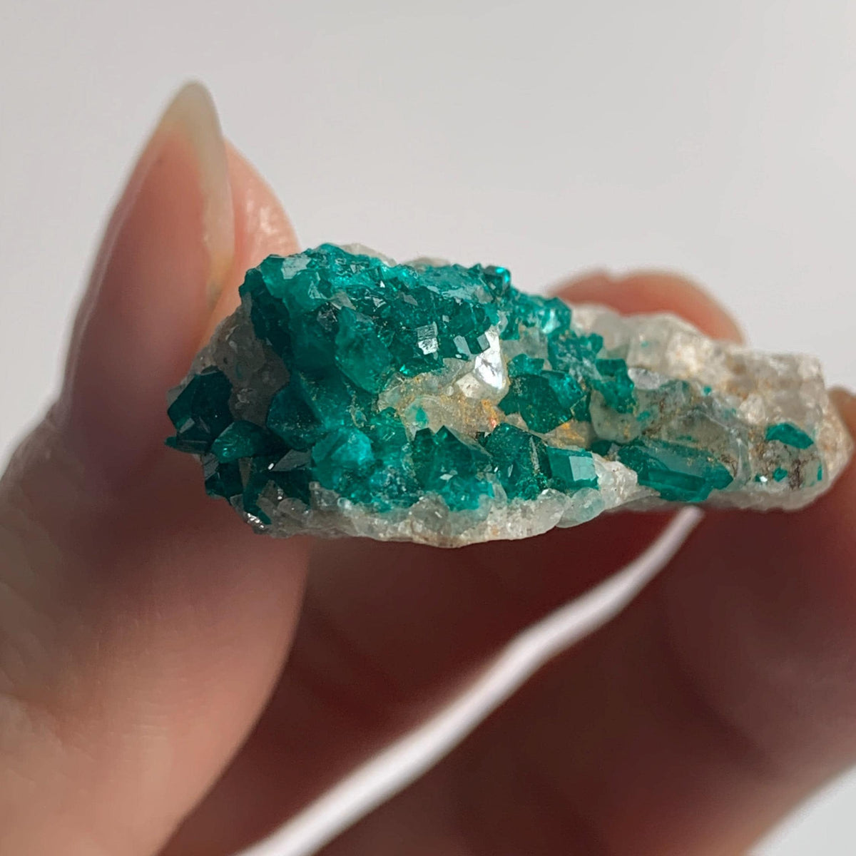 rare namibia dioptase crystals on host matrix
